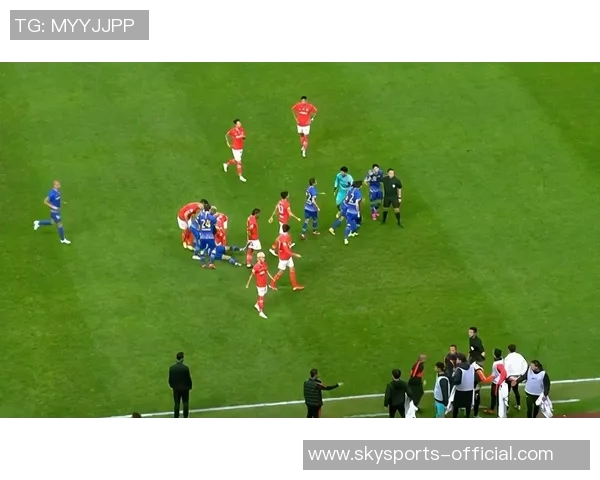 西甲激战莱比锡险胜里昂争议判罚引发全场热议